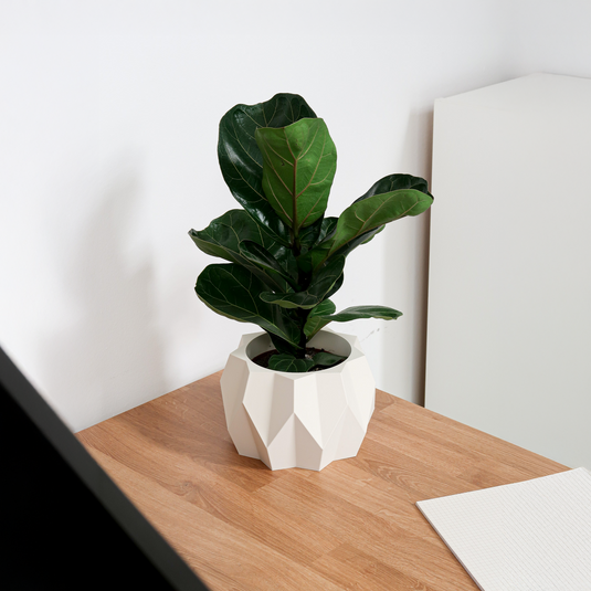 BIDI Indoor planter