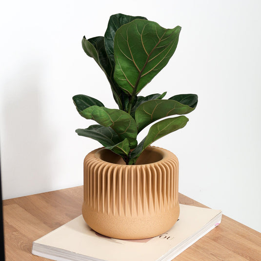 MARENA Indoor Planter