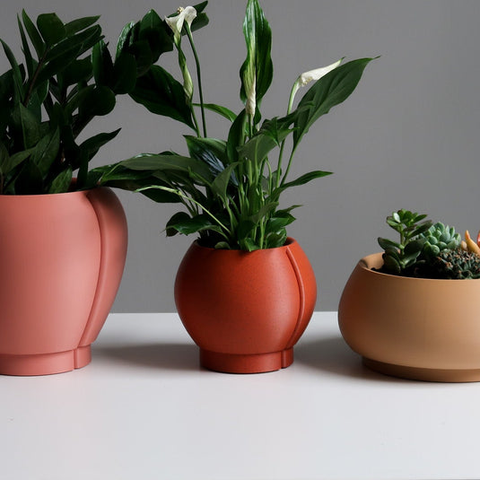 Indoor planter with drainage - ORBELLE OVAL