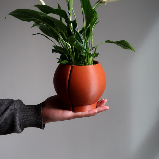Indoor planter with drainage - ORBELLE OVAL