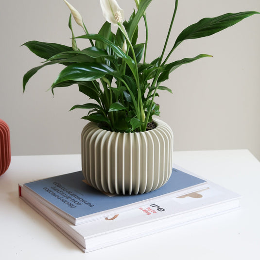 VORENA Indoor Planter