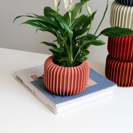VORENA Indoor Planter