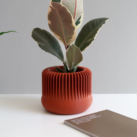 MARENA Indoor Planter