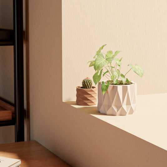 Indoor Planter Pack DOHME