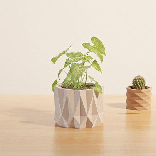 Indoor Planter Pack DOHME