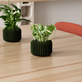 VORENA Indoor Planter