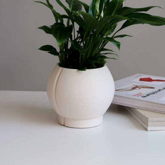 Indoor planter with drainage - ORBELLE OVAL