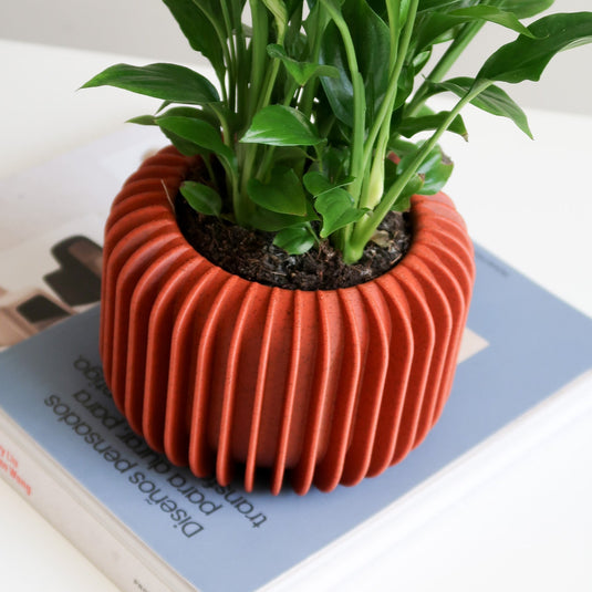 VORENA Indoor Planter