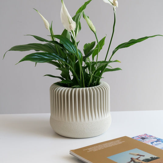 MARENA Indoor Planter